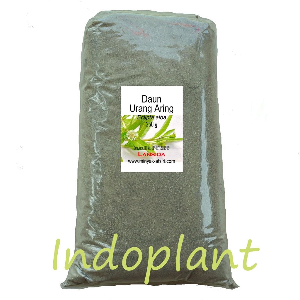 Bubuk Daun Urang Aring 250 g Simplisia Serbuk Kering Eclipta alba