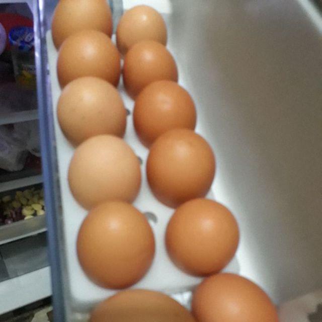 Downy  Biru Harga 1 Lusin