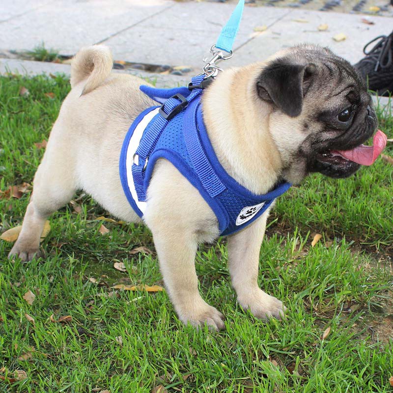 Rompi Harness Anjing / Kucing Adjustable Untuk Jalan-Jalan