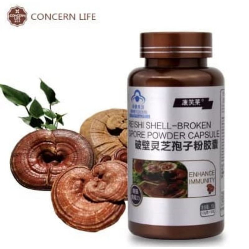 lingzhi lingce linche linzi ganoderma lucidum reishi spora