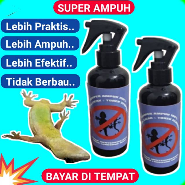 Racun Pembasmi cicak semprot Paling ampuh original