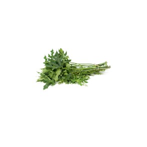

Daun Pepaya 250 gram