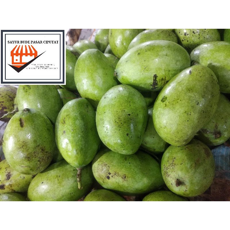 Mangga Muda Mentah Per 1000 gram