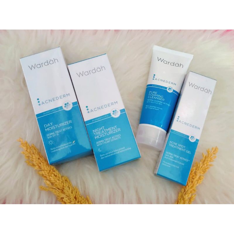 Wardah Acnederm Set 4in1