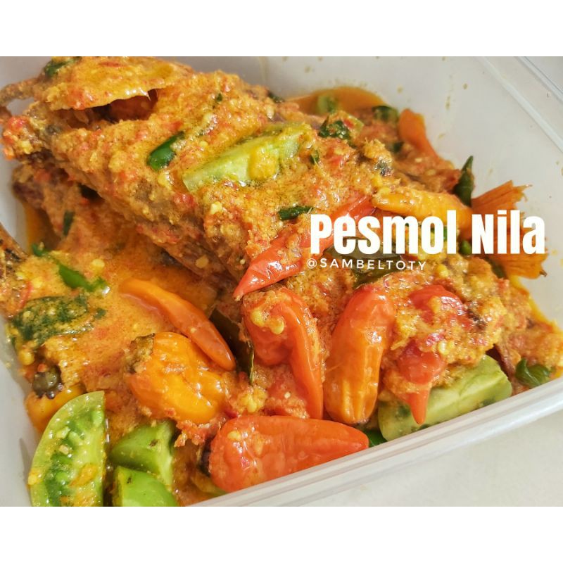 

Pesmol Ikan Nila Fresh Bukan Frozen