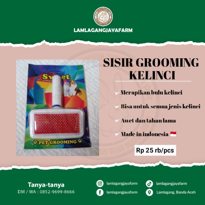 Sisir grooming kelinci