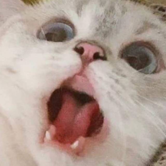 a*****4