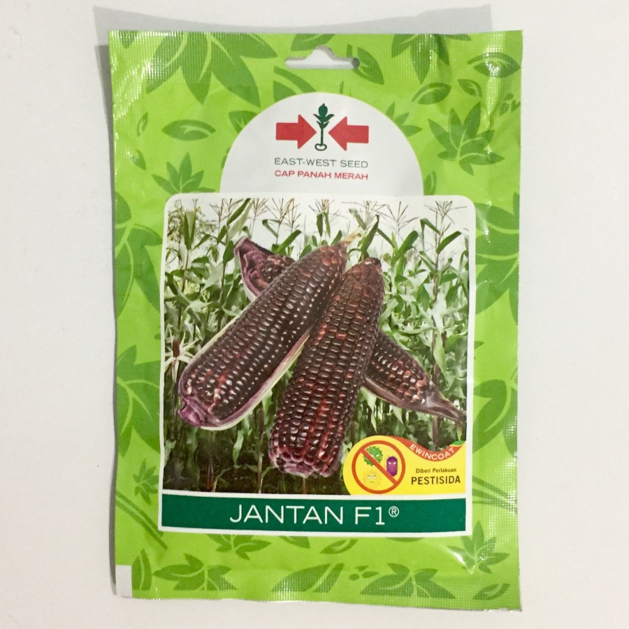 Jual Benih Bibit Jagung Pulut UNGU JANTAN F1 Hibrida Cap Panah Merah SP