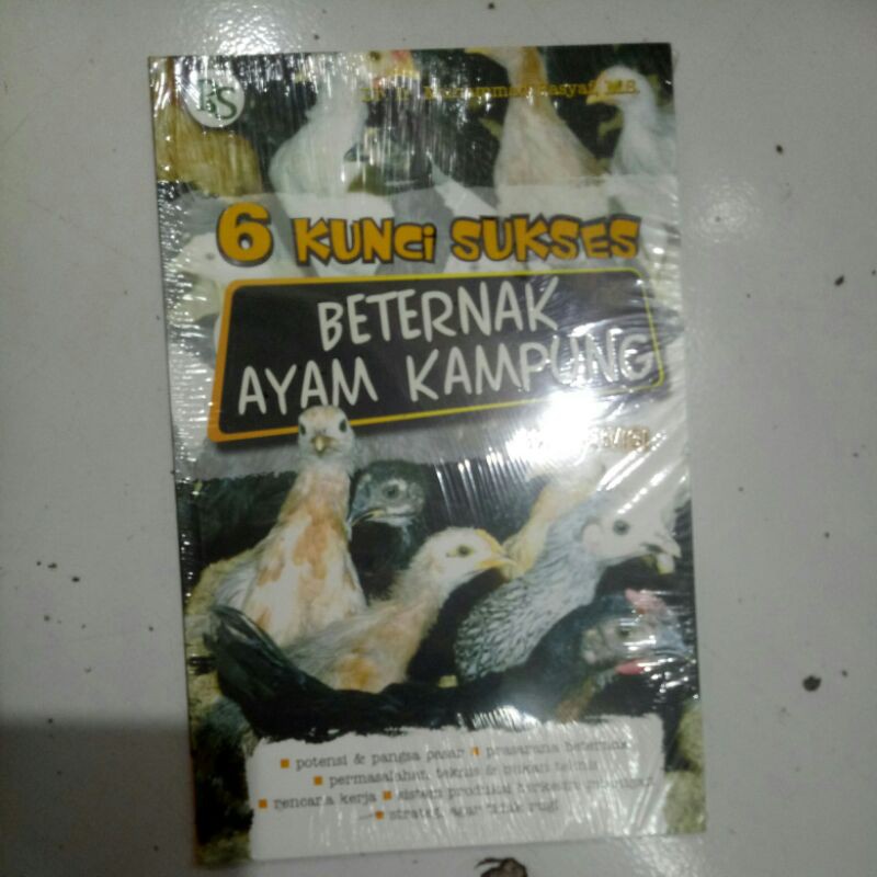 beternak ayam kampung