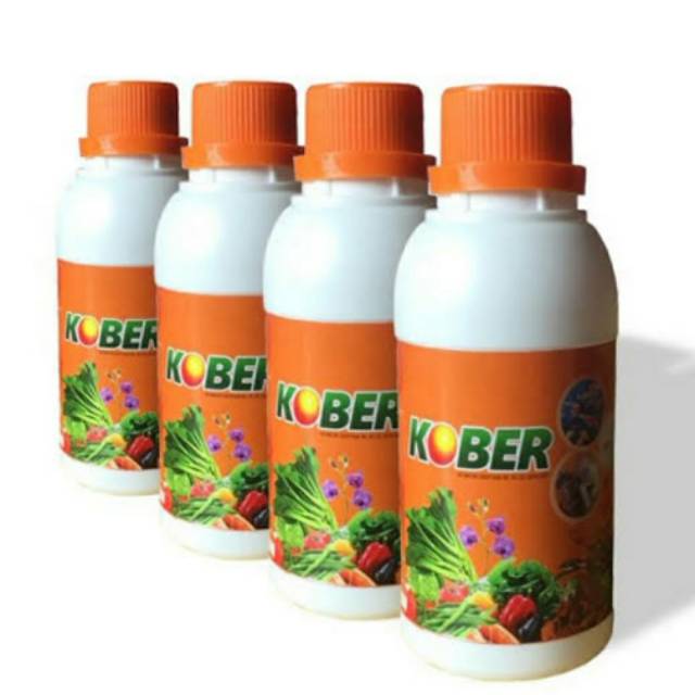 Pupuk Hayati Kober