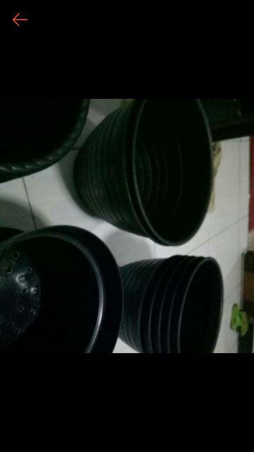 pot bunga tanaman tawon hitam 30cm Shopee Indonesia pot bunga tanaman tawon hitam 30cm Shopee Indonesia