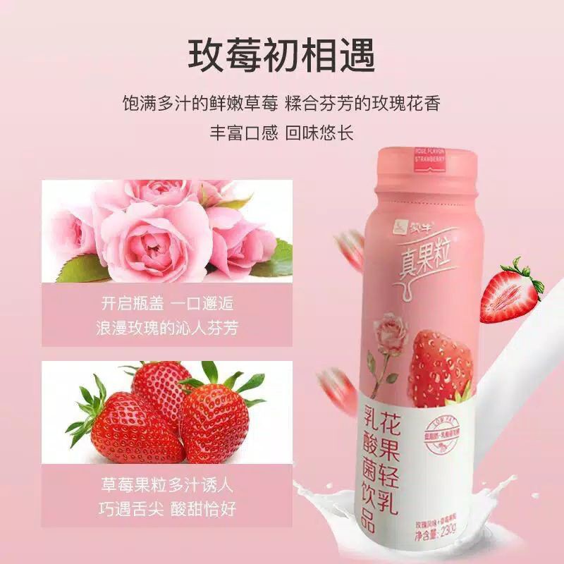 

Zhenguoli yogurt fruit milk drink rasa Strawberry 230gram by lisa black pink 真果粒