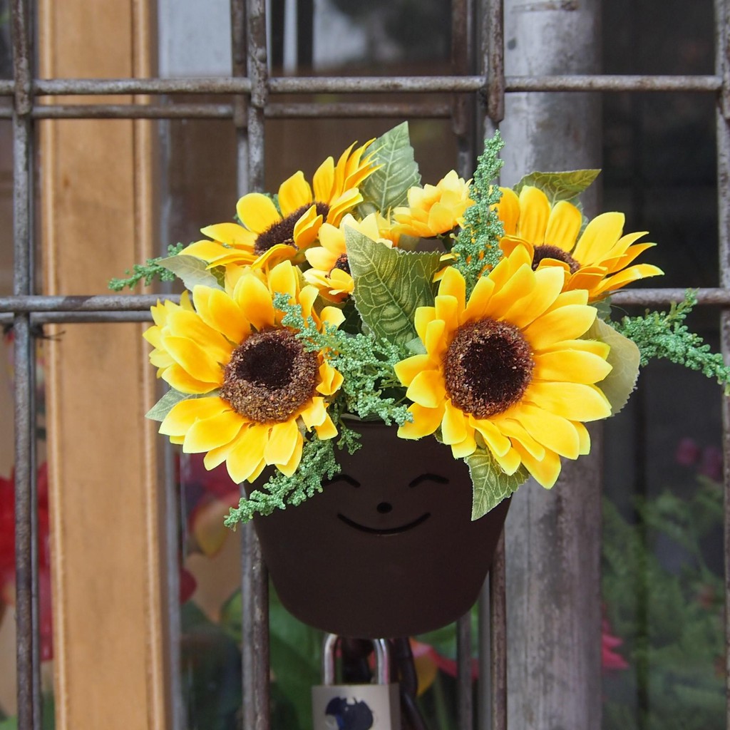 Menakjubkan 26+ Gambar Bunga Matahari Dan Potnya - Gambar Bunga Indah