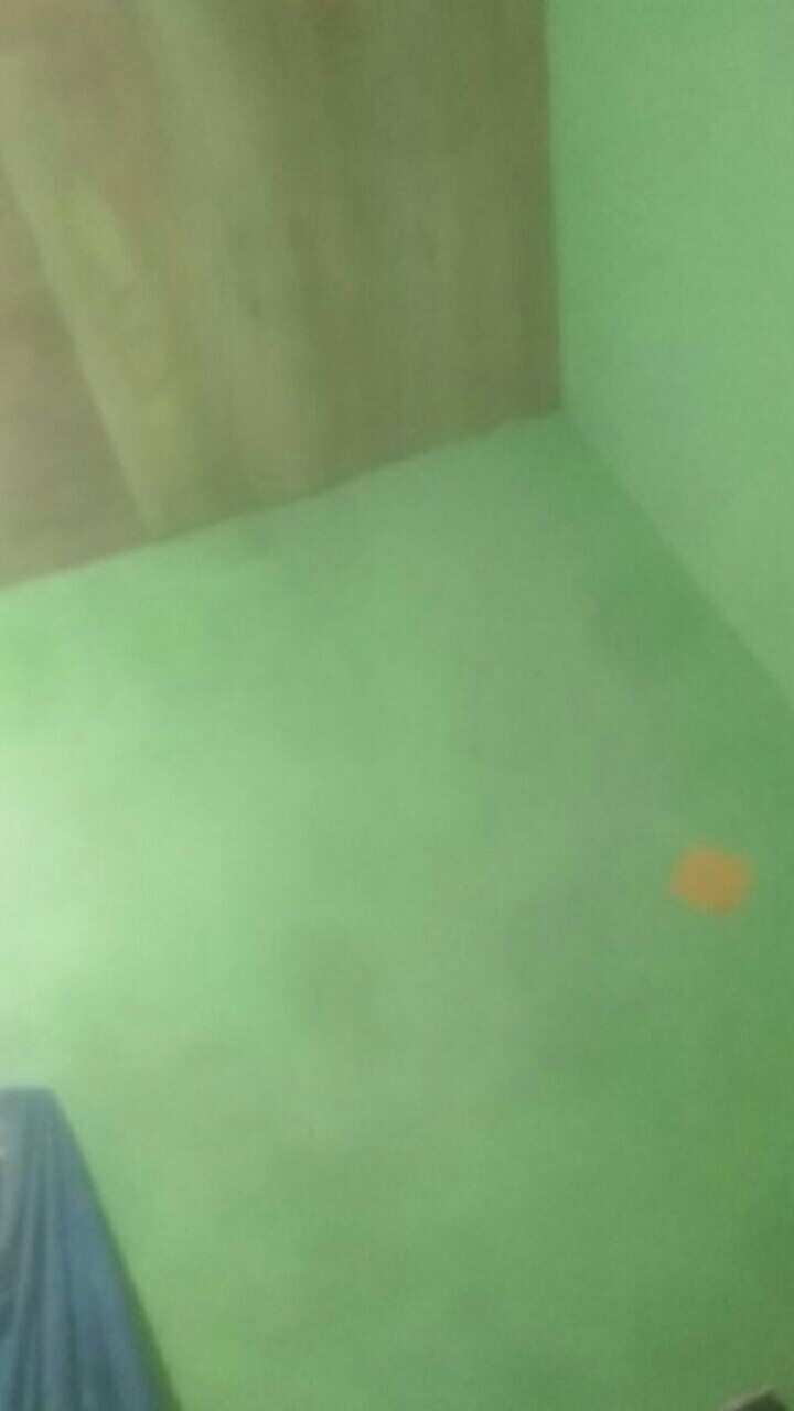 [ Rantang 4 Susun Bulat Kombinasi ]warna Warni Polos Lunch Box Stainless