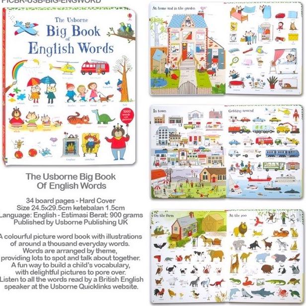 Usborne Big Book Of English Words