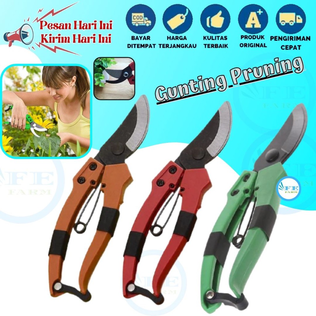 Gunting Dahan Ranting Pruning  Alat Potong Dahan Ranting Stek Pruning Shears