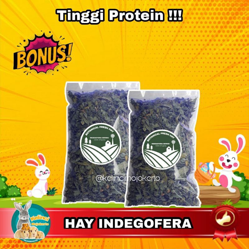 HAY INDIGOFERA MAKANAN KELINCI PENUH PROTEIN/ INDIGOFERA KERING