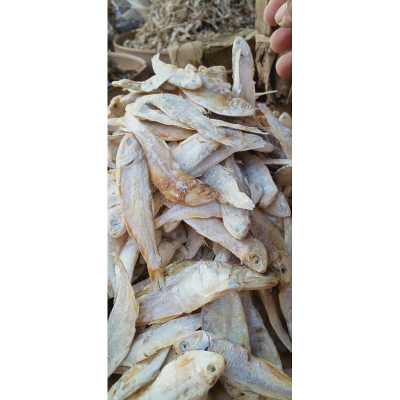 

lkan bilis/Selar 1kg