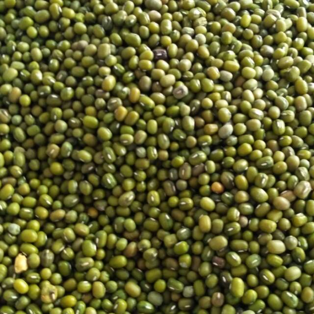 

Kacang Hijau 250gr
