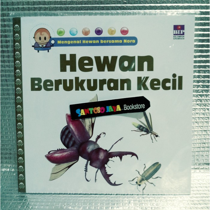 Mengenal Hewan Bersama Nora Hewan Berukuran Kecil By David West