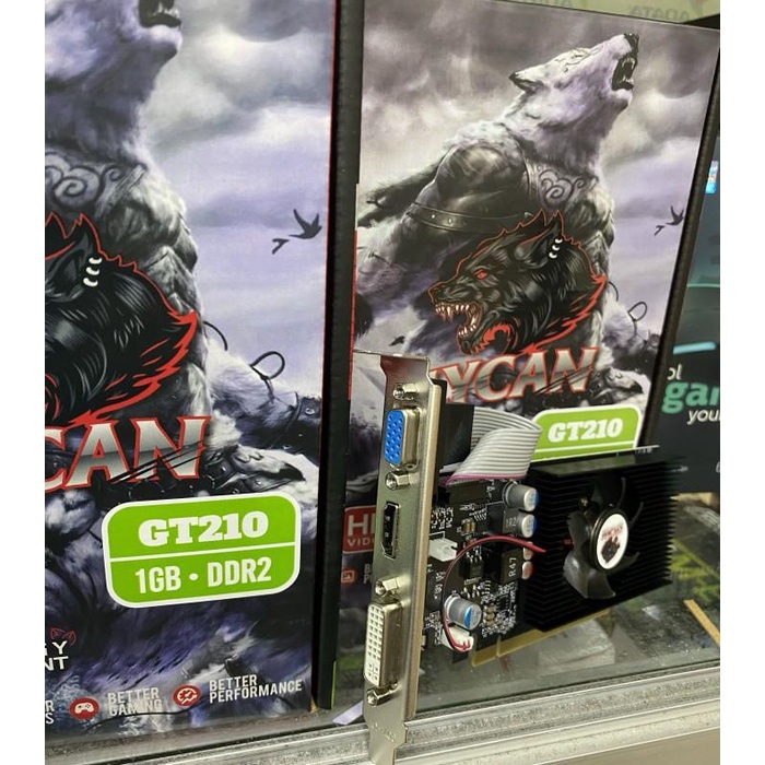 Vga / Vga Lycan Gt 210 1Gb