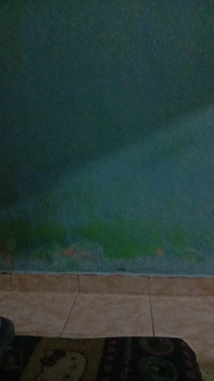 M-l-xl-xxl Batik Wanita Asj Sa Hrb026 Kenongo Kemeja Tosca Pendek