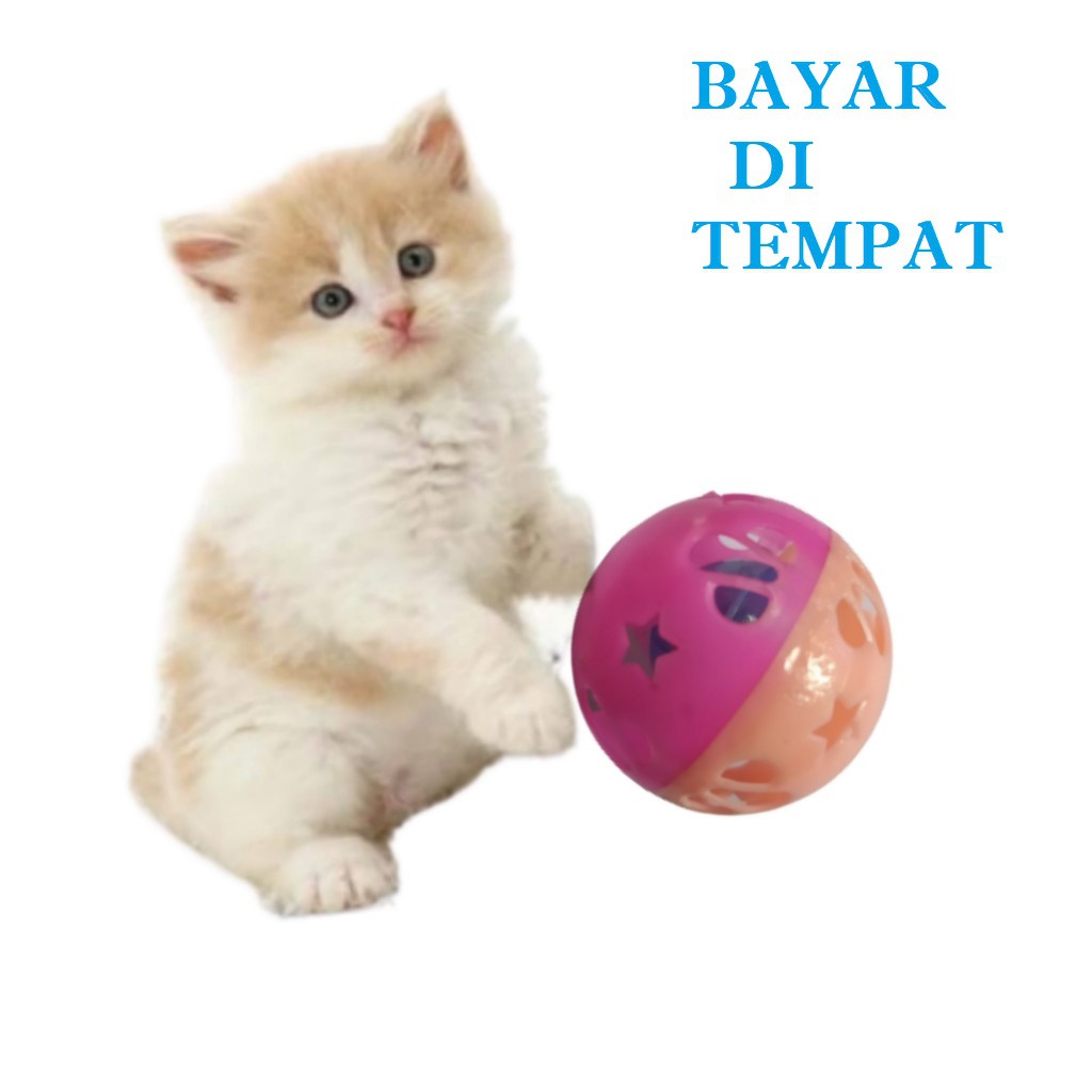 TERMURAH!! MAINAN KUCING ANJING BOLA MERINDING BUNYI LONCENG