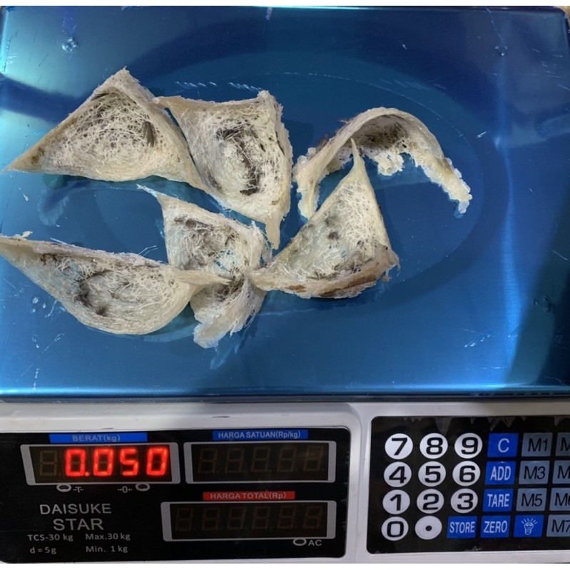

sarang burung walet 50 gram yenwo asli