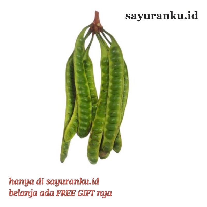 

petai/ pete per papan/ keris sayur segar sayuran fresh pasar murah pasar jakarta