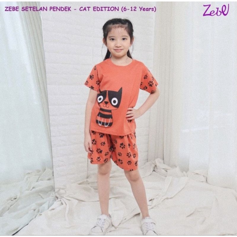 Zebe Setelan Baju Lengan Pendek Celana Pendek Cat Edition - Baju Anak