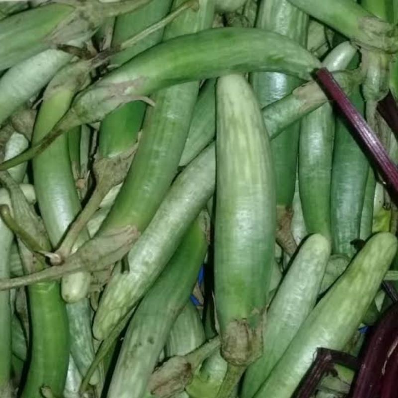 

Terong Medan 500gr / Terong Telunjuk / Terong Mini