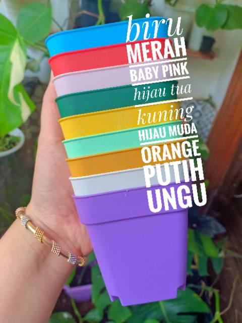 Paket 1 kilo ISI 50 pot  KOTAK  rainbow ukuran  7 cm Shopee 