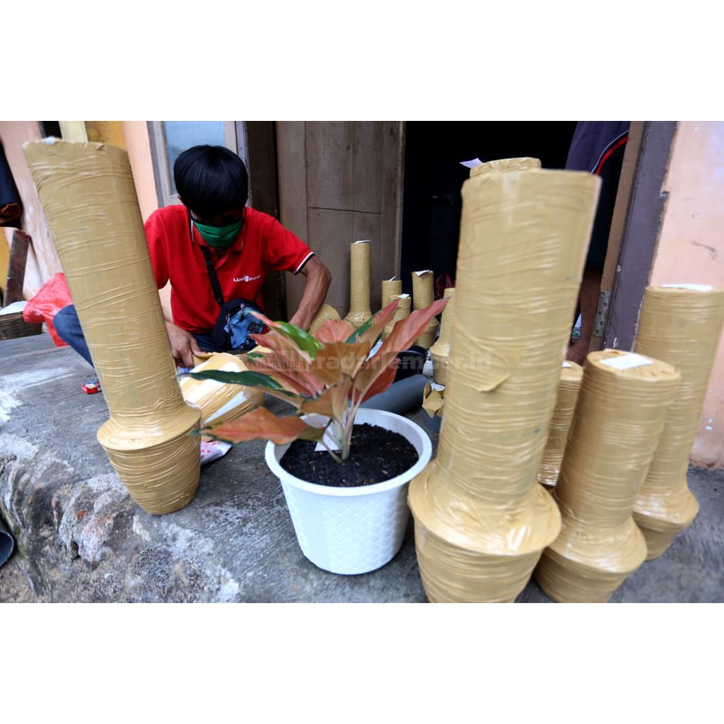 

Tambah Packing Agar Lebih Aman dan Memuaskan
