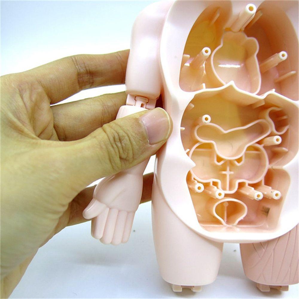 Lanfy Human Organ Model Puzzle 3D Khusus Boneka Tubuh Manusia Aksesoris Sekolah Anatomi Mainan Tubuh Organ Edukasi Belajar