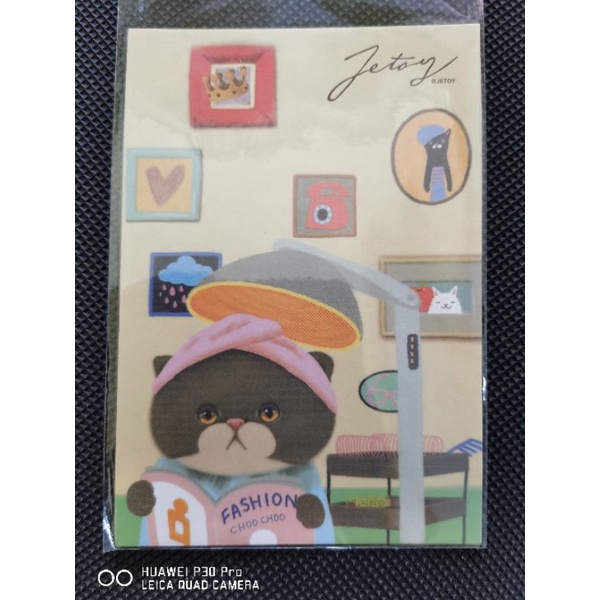 

kartu pos kucing jetoy/jetoy cat postcard