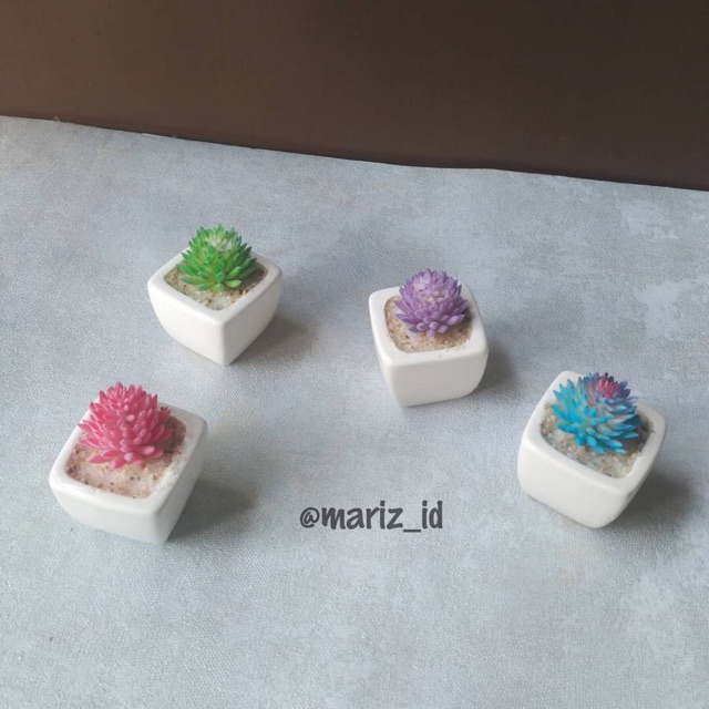 Bonsai Mini pot kaktus sukulen keramik set dekorasi shabby