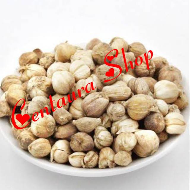 

Kapulaga Herbal Kwalitas Unggul 500gr