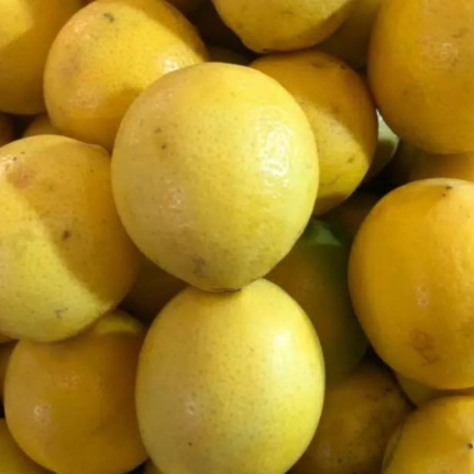 

JERUK LEMON