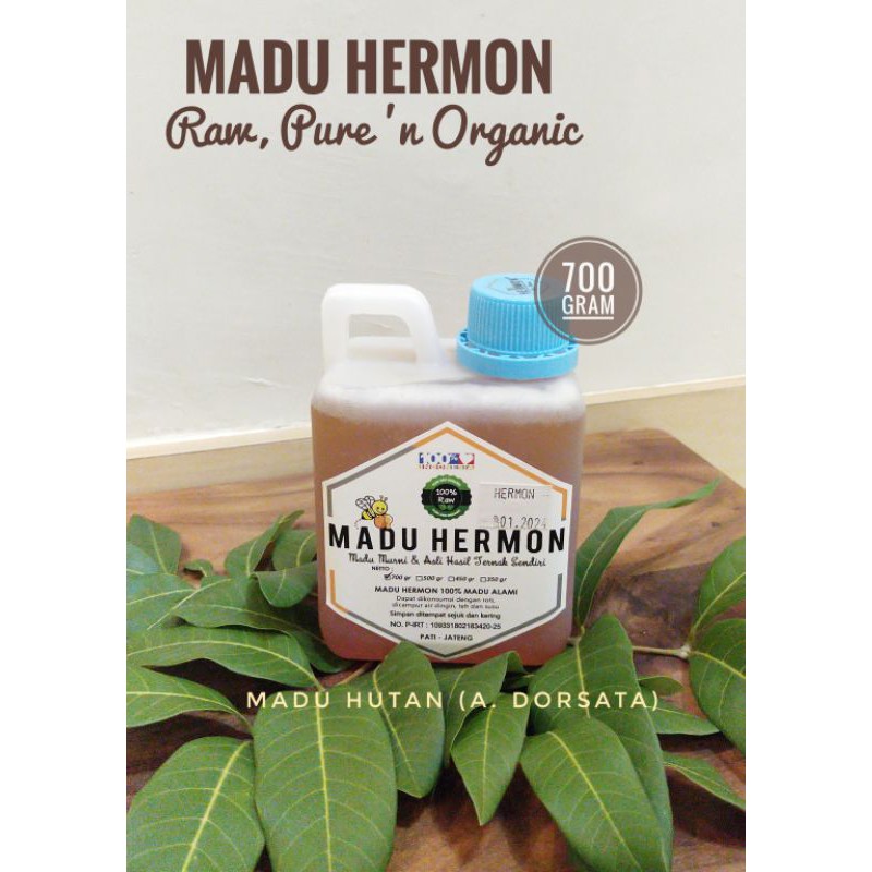 

Madu Hermon - Madu Hutan Dorsata 700 gr Madu Hermon Madu Mentah Raw Honey