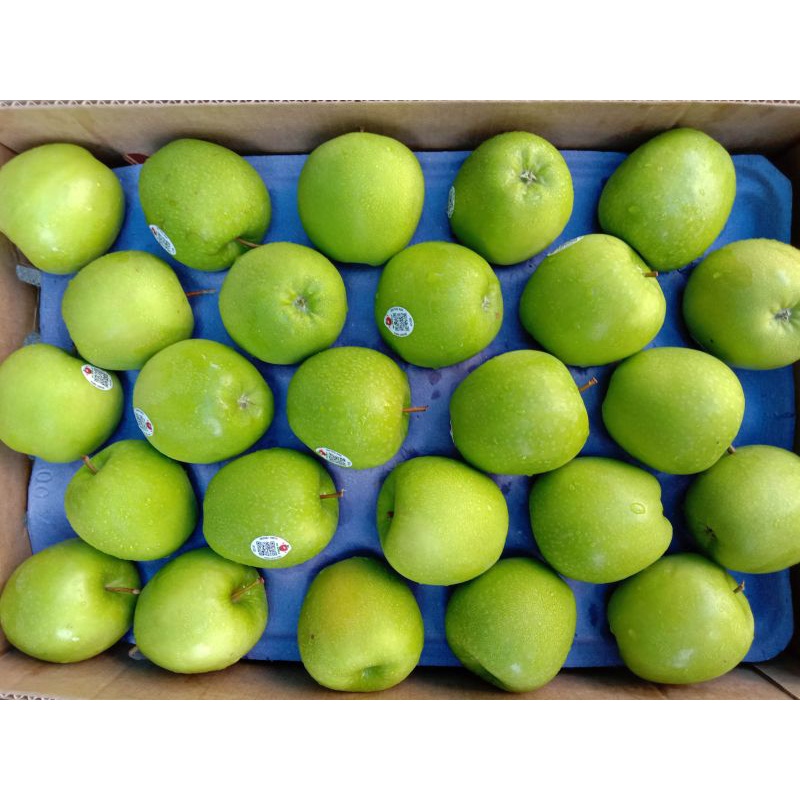apel grannysmith / apel hijau import