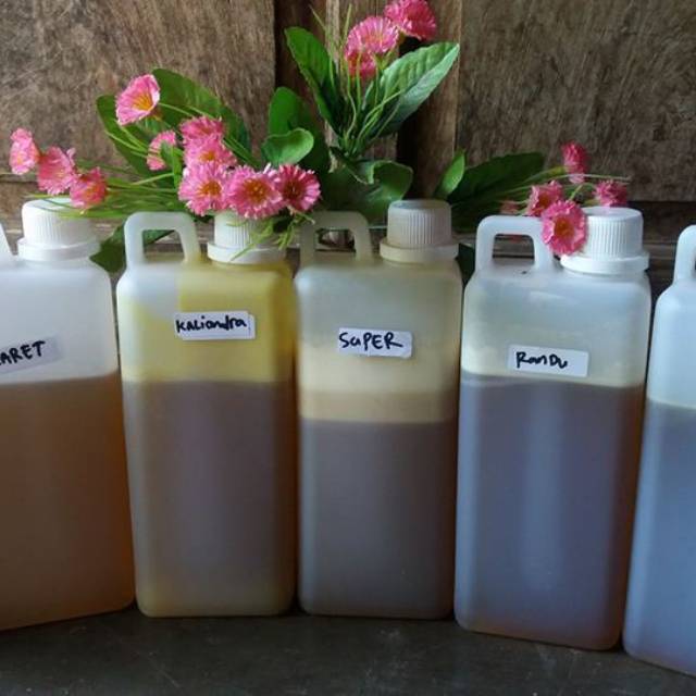 

MADU MURNI LANGSUNG DARI PETERNAK LEBAH