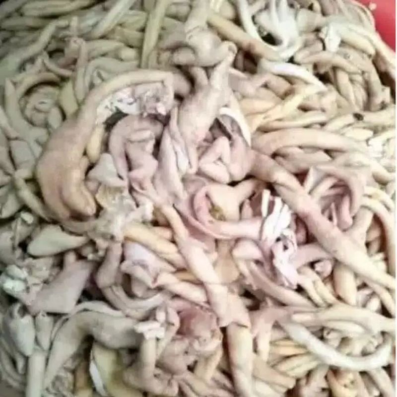

Grosir 250 gram Usus Segar