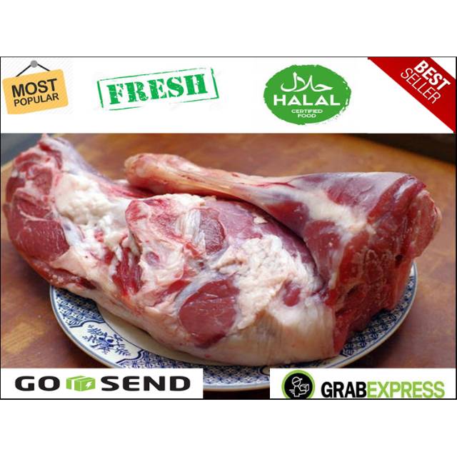 

HOT PROMO PAHA KAMBING