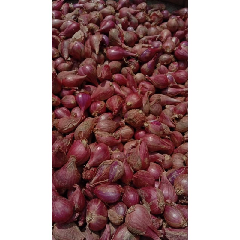 

Bawang merah