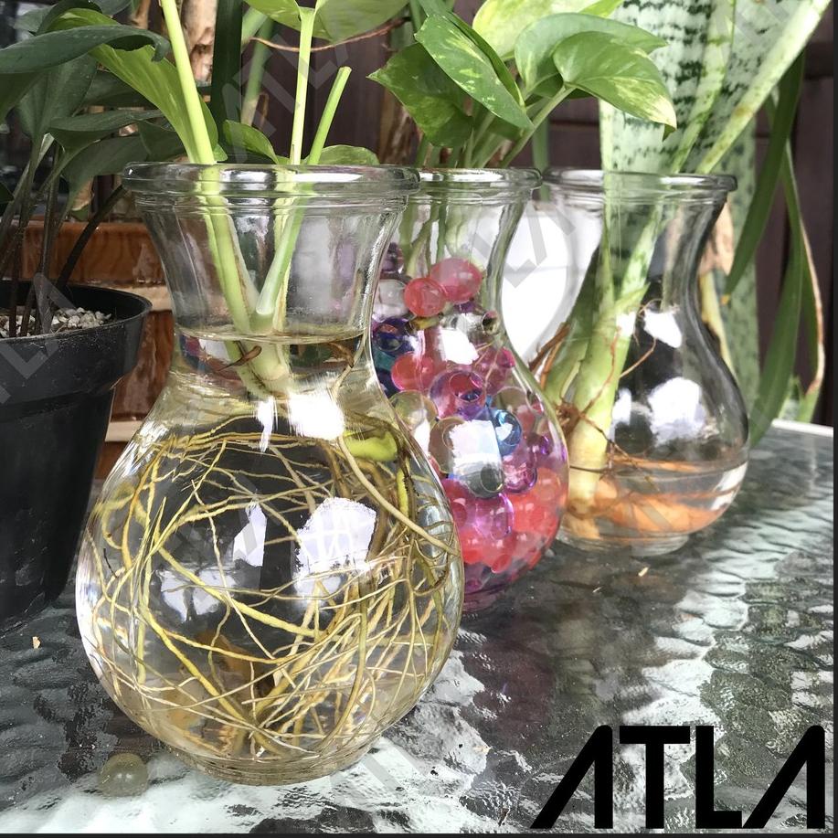 Mall Vas Bunga Kaca Bulat Montok Terrarium Pot Bening Hias Tanaman Hidroponik Wadah Ikan Cupang KGS0