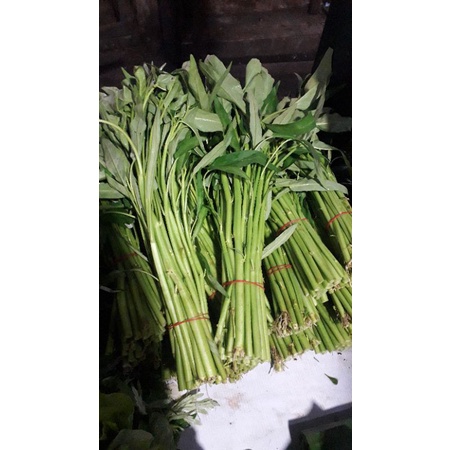

kangkung super/1iket