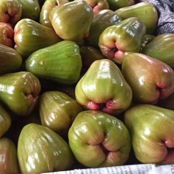 

JAMBU AIR CINCALO HIJAU MANIS