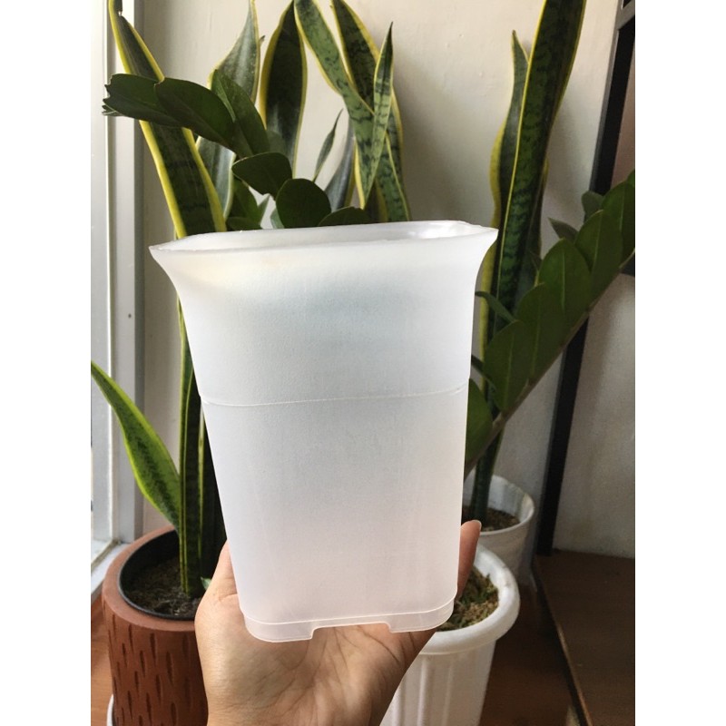 Pot NKT bening 12 - pot bening - pot persegi - pot transparan