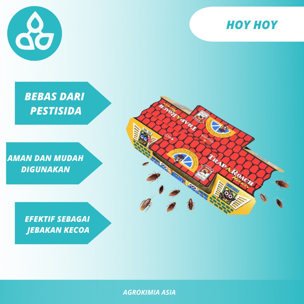 Hoy Hoy Trap - Perangkap Kecoa - Semut - Cicak - Mudah dan Aman-5 PCS