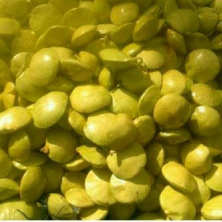 

jengkol muda lalap 1kg ゑ